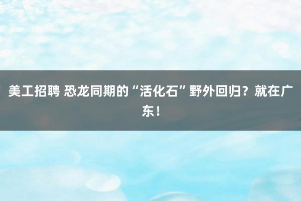 美工招聘 恐龙同期的“活化石”野外回归？就在广东！